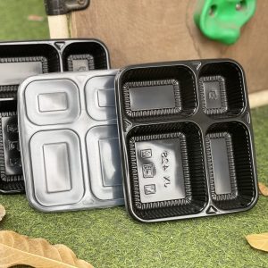 Hộp nhựa đựng thức ăn